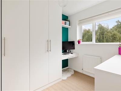 Picture 10